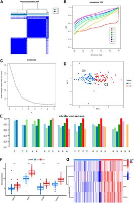 A prognostic model based on clusters of molecules related to epithelial–mesenchymal transition for idiopathic pulmonary fibrosis